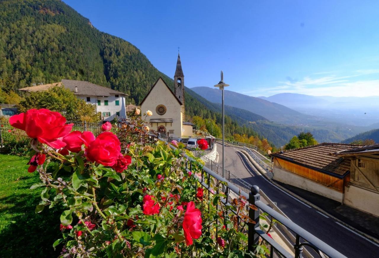 B&B Butterfly Bresimo Bagian luar foto