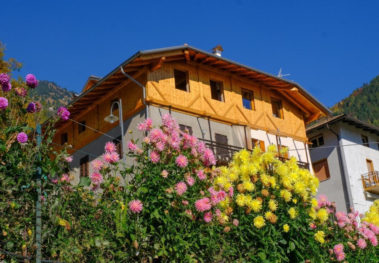 B&B Butterfly Bresimo Bagian luar foto