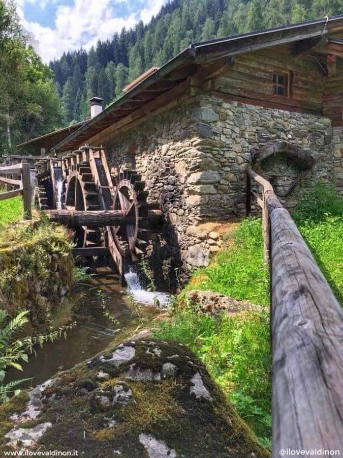 B&B Butterfly Bresimo Bagian luar foto