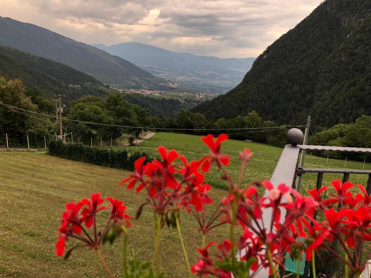 B&B Butterfly Bresimo Bagian luar foto