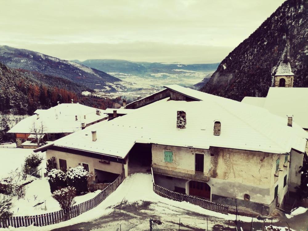 B&B Butterfly Bresimo Bagian luar foto