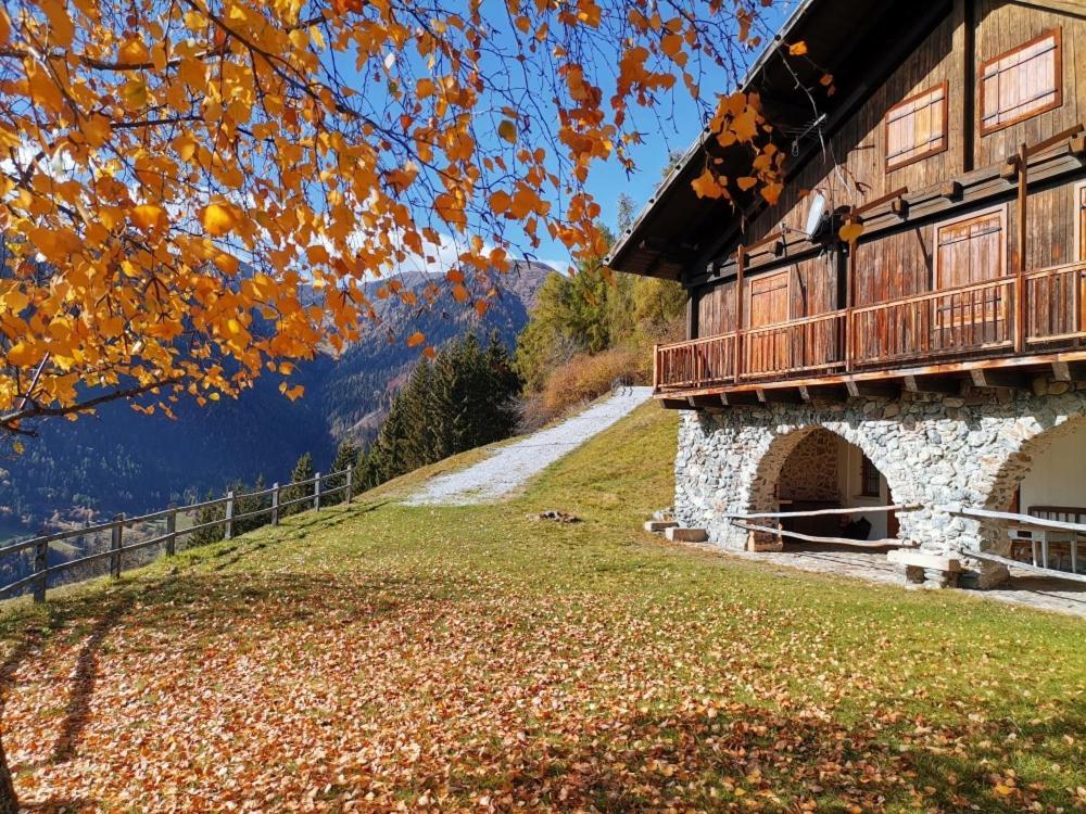 B&B Butterfly Bresimo Bagian luar foto