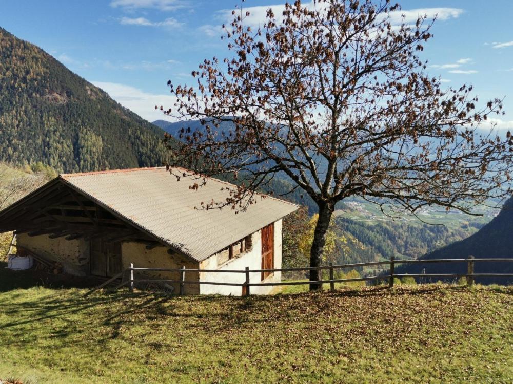 B&B Butterfly Bresimo Bagian luar foto